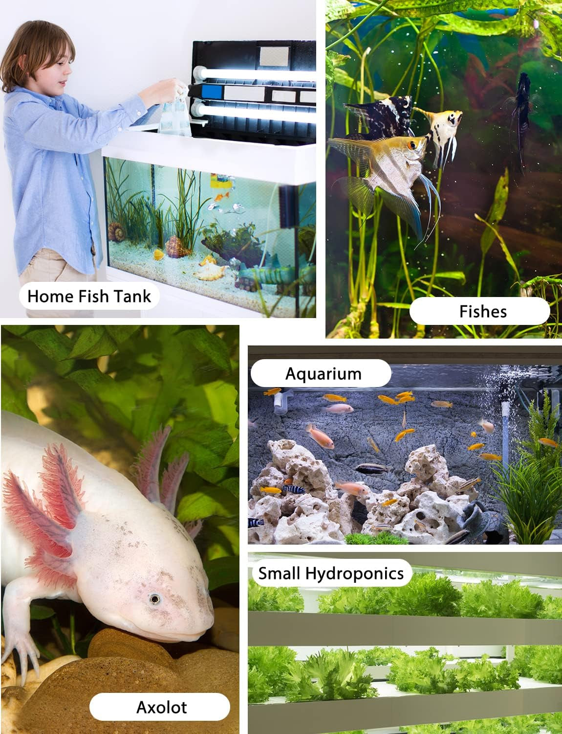 Aquarium Water Chiller, 79 Gal 1/3 HP Fish Tank Water Chiller with Special Quiet Design Compressor Refrigeration for Hydroponic System Axolotl Jellyfish Coral Crystal Shrimp 300L