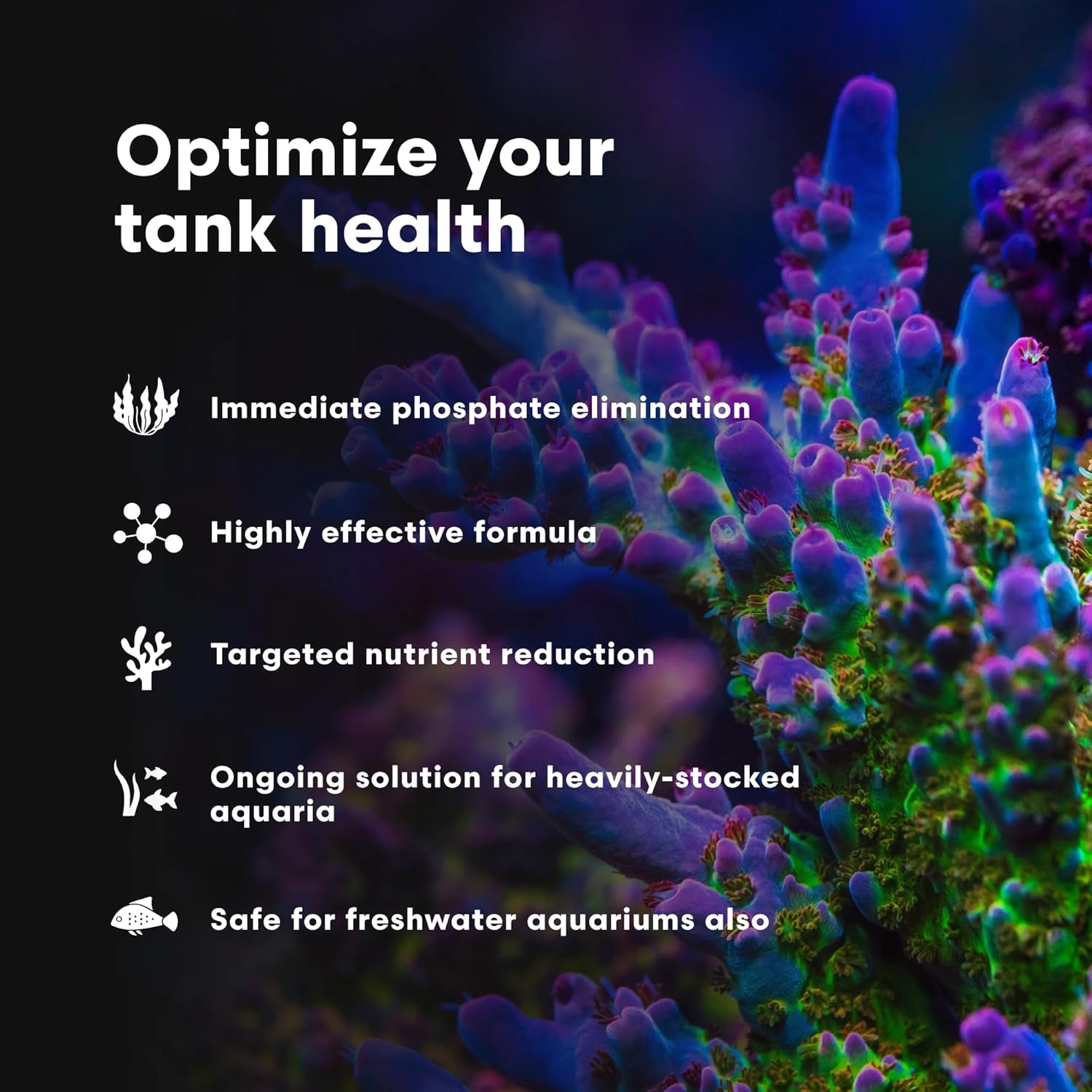 Phosphat-E Liquid Phosphate Remover for Marine Fish and Reef Aquariums - Aquarium Water Treatments, 8.45 Fl Oz
