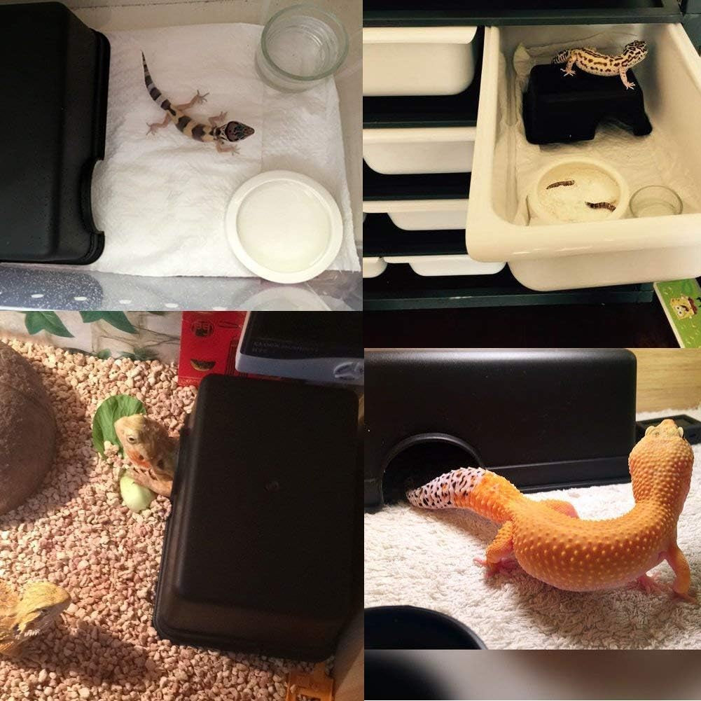 Reptile Hideout Box Small Animal Hide Cave for Snakes Lizards Leopard Gecko Rodents Spiders (S & M)