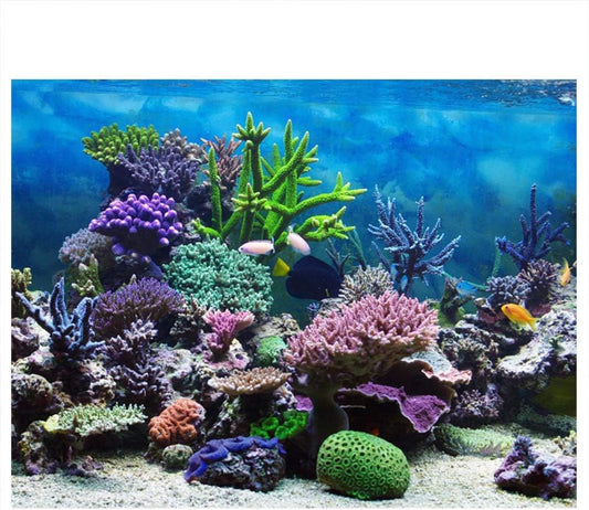 PVC Adhesive Photography Backdrop Aquarium Underwater Corals Fish Background 61X41Cm