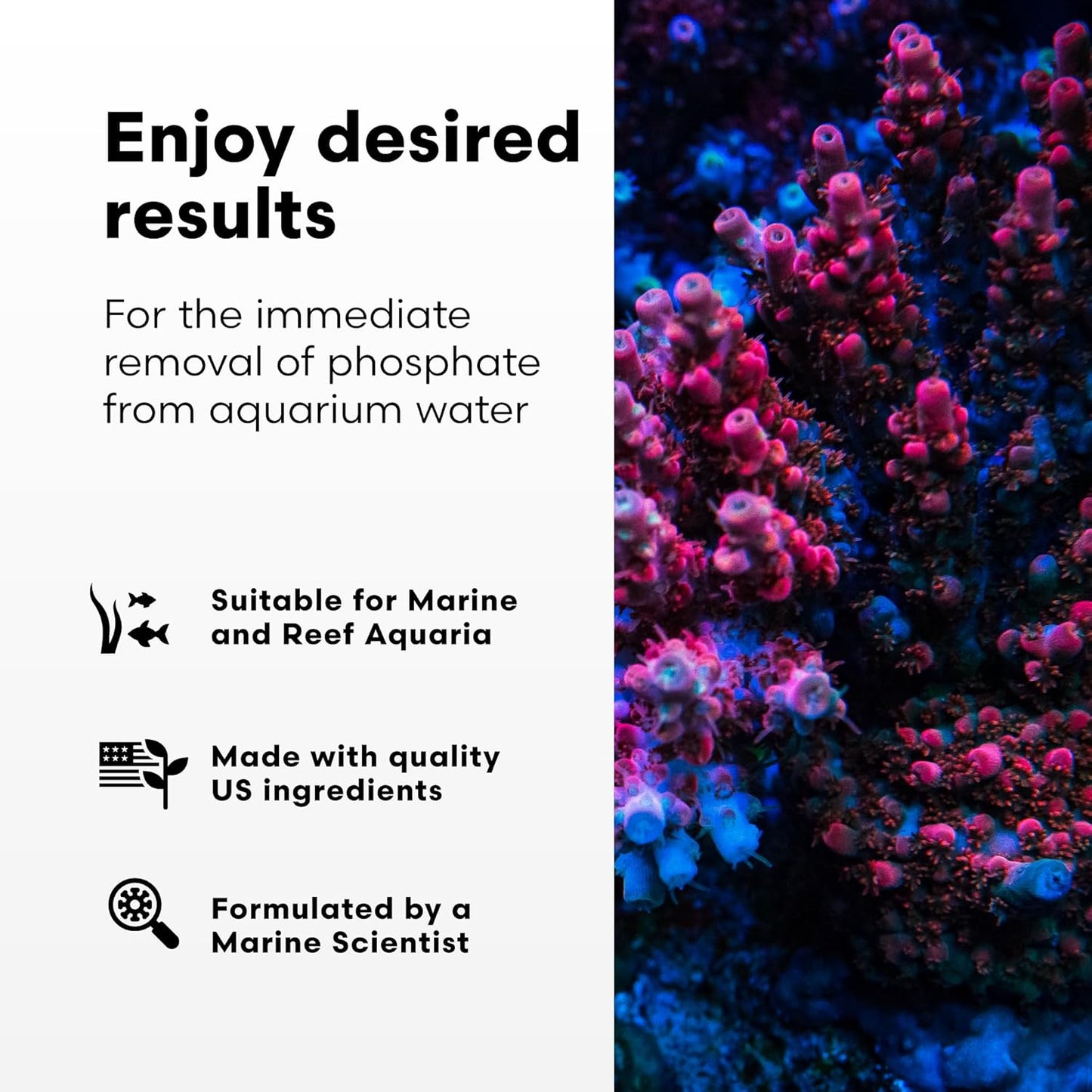 Phosphat-E Liquid Phosphate Remover for Marine Fish and Reef Aquariums - Aquarium Water Treatments, 8.45 Fl Oz