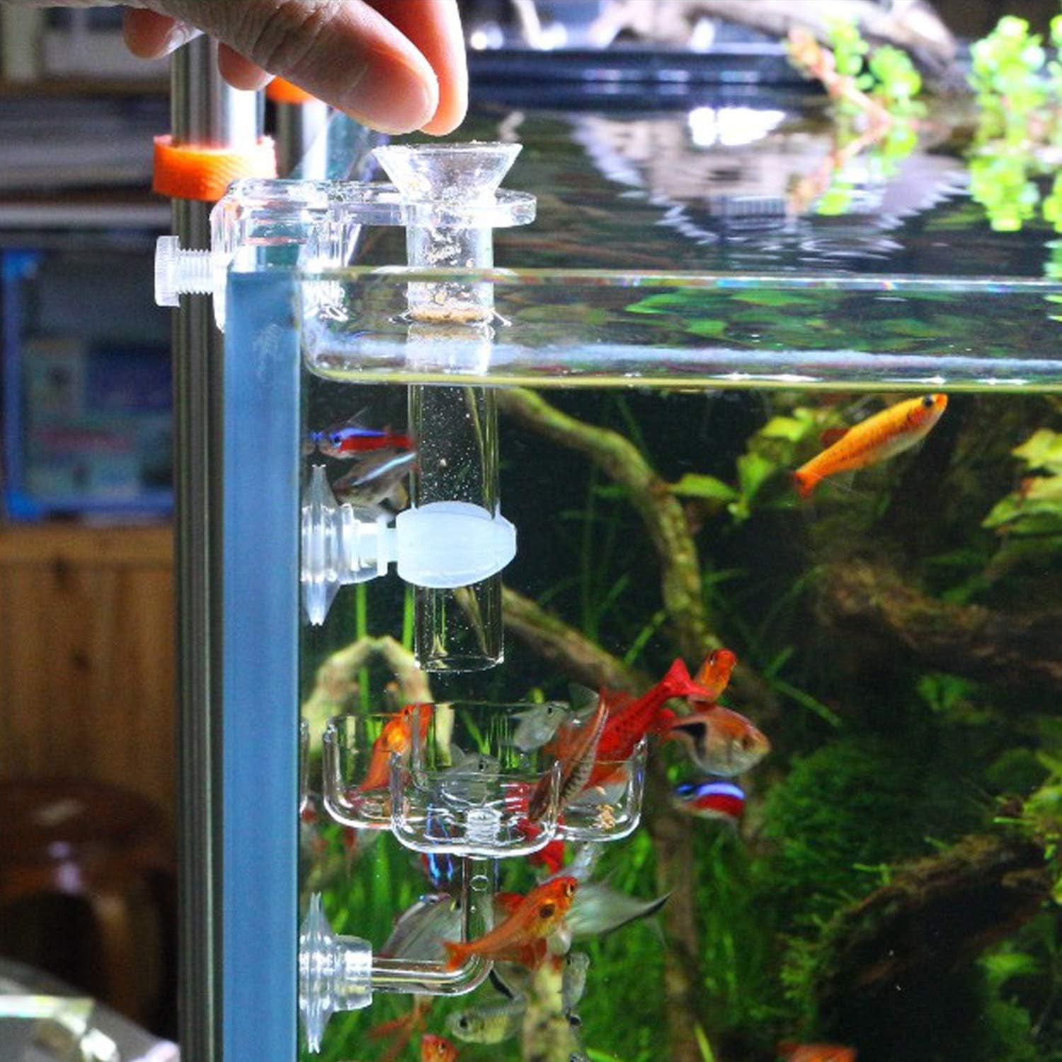 Aquarium Shrimp Small Fish Feeding Dish and Feeding Tube Kit, Including Glass Feeder Tube Acrylic Feeder Dish and Holder, 3 Lengths Optional, 7.8 Inches, 11 Inches, 13.7 Inches (L-13.7 Inches)