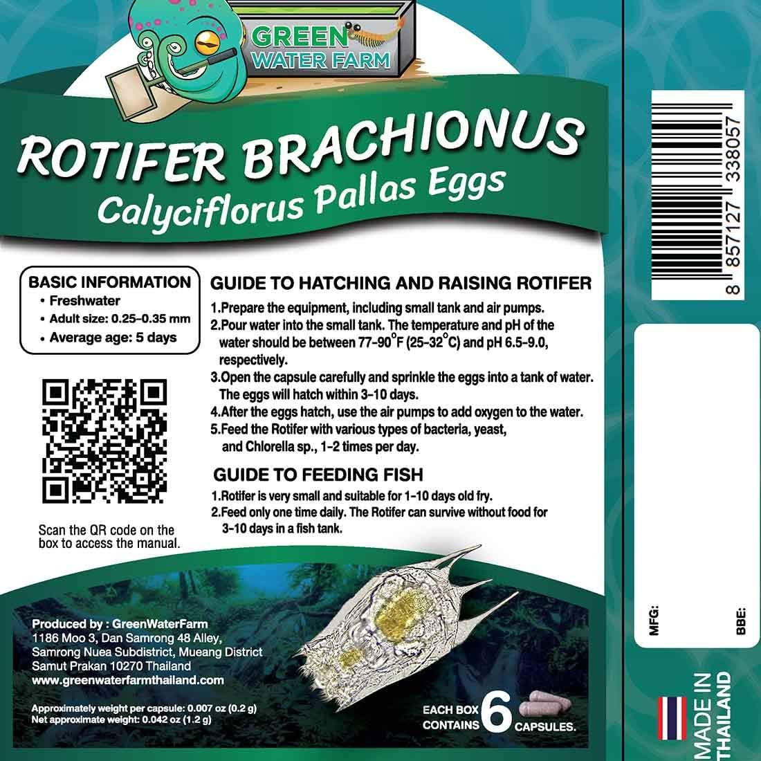 Greenwaterfarm Rotifers Brachionus Calyciflorus Pallas Eggs Live Fish Food for Hatching and Culture Suitable for Feed Betta Fish