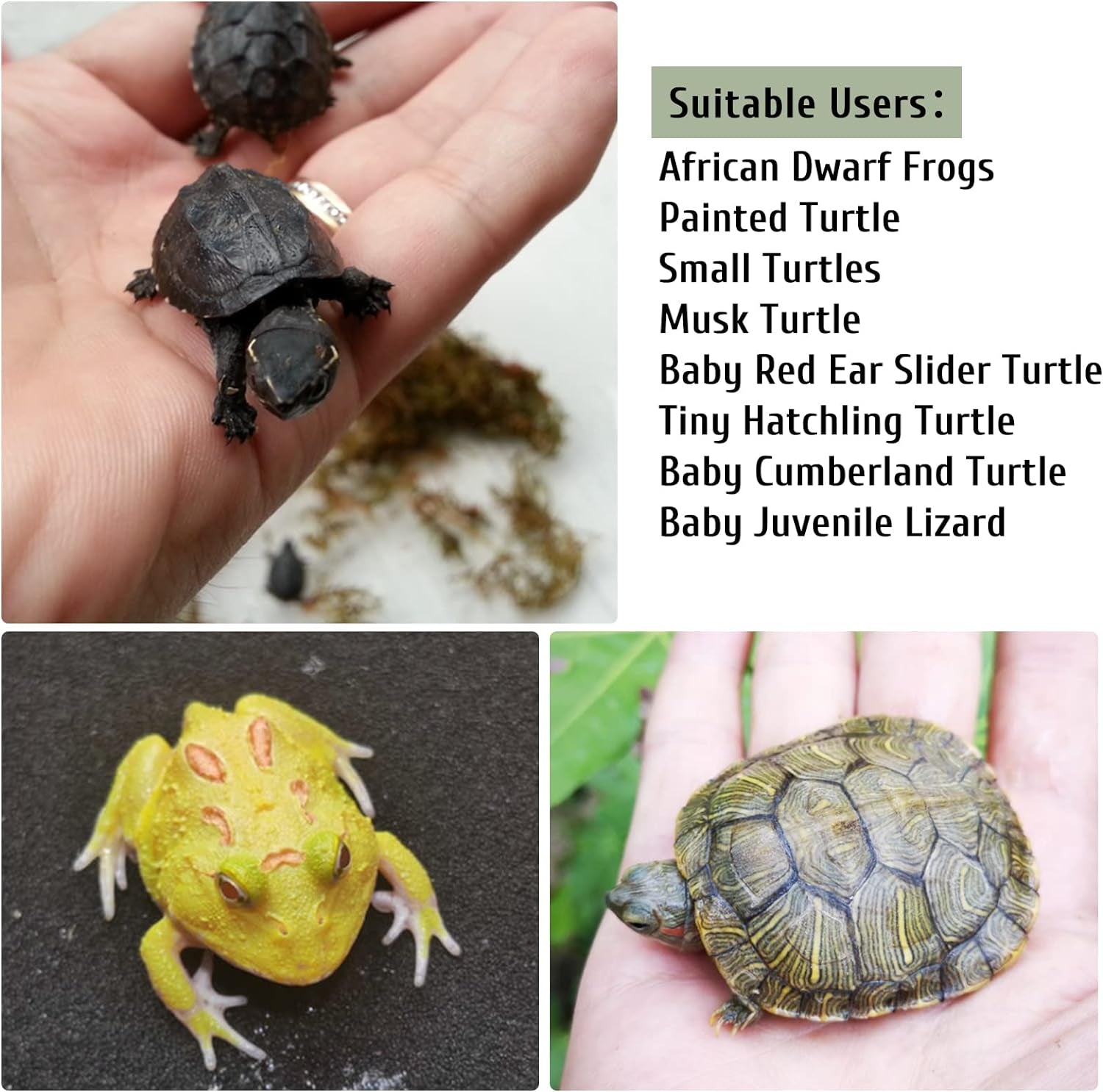 Turtle Basking Platform Tortoise Resin Dock Tortoise Climbing Ramp Shale with Suction Cup Adjustable Resting Terrace Lizard Climbing Platform for Frogs Newts (Small:6.0”Lx2.7”Wx2.7”H)