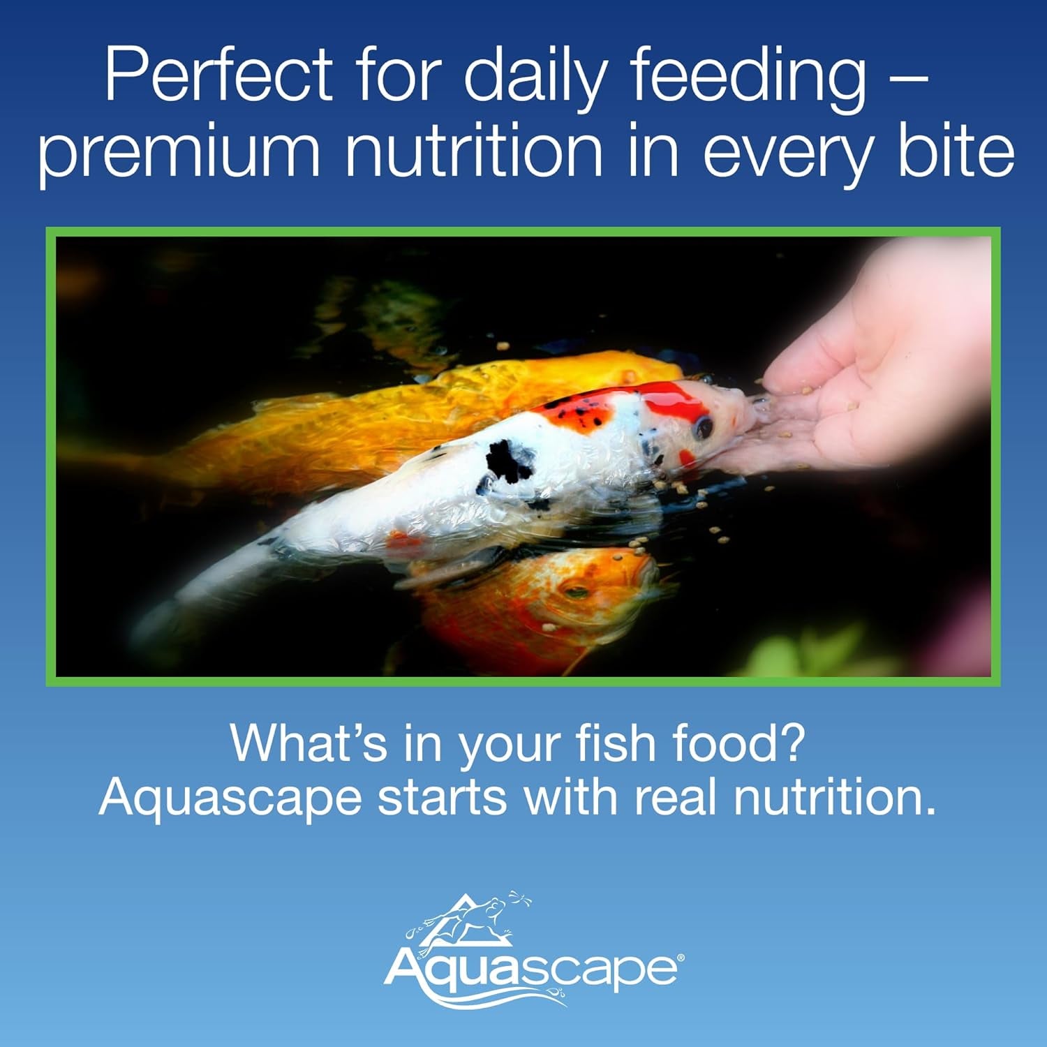 Premium Staple Fish Food Pellets for Small to Medium Pond Fish, Medium Pellet, 2.2 Pounds | 98868