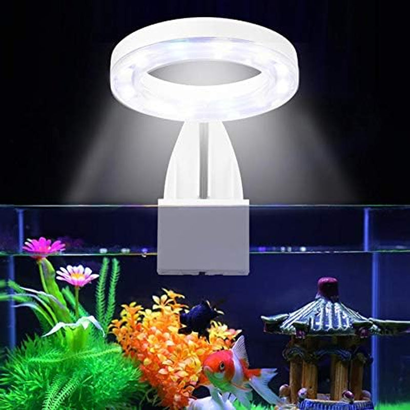 5W Mini Fish Tank Light White Clip-On Aquarium Lights for Small Betta Fish Tank,Round Light Aquatic Plant Lighting (White Body + Blue LED Light) Suitable for Small Fish Tanks